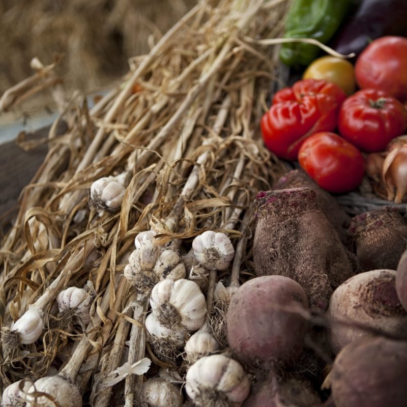 Verduras y hortalizas frescas en mercado con ajos, remolachas y tomates sobre paja